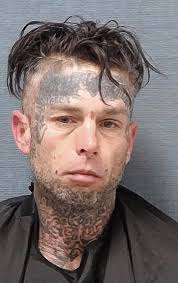 Dillingham, Gavin Lee Mugshot