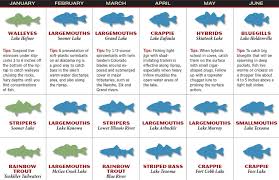 2017 oklahoma fishing forecast