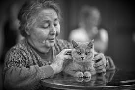 Ask a stupid question..... Can you adapt a meopta lens to EF mount?