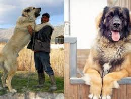 pin na doske poleznye sovety