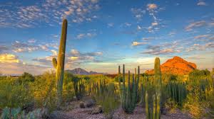 A collection of the top 48 phoenix arizona wallpapers and backgrounds available for download for free. Arizona Wallpapers Top Free Arizona Backgrounds Wallpaperaccess