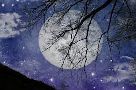 En effet, les termes croissant et décroissant sont en rapport avec la forme que nous. Jardiner Avec La Lune Les Plantes Medicinales Le Jardin Des Medicinales