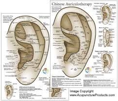 Free Printable Reflexology Charts Acupressure Chart