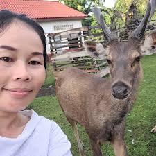 Short ribs, mac and cheese, greens, &...