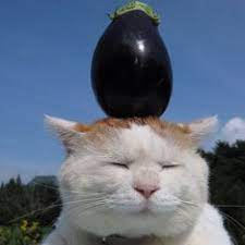 Maybe you would like to learn more about one of these? 40 Fun With Eggplant Ideas In 2021 Eggplant Food Humor Food Carving