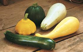 We did not find results for: Summer Squash Saute Finegardening