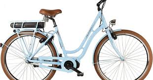 Feldmeier Fe 14 Retro Damen Retro Pedelec Shimano Steps Du E60xx Mittelmotor Pedelec Fahrrad E Bike