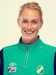 Gideonsbergsbloggen: november 2013