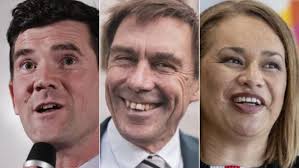 Whanau makes it a trifecta, so what's up with Wellington's string of  single-term mayors?