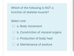Solved The Brain And Spinal Cord Make Up The Select One O Chegg Com