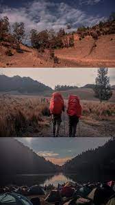 Gambar pemandangan pohon alam outdoor gurun kabut padang25 gambar via katamutiarabijak.info. Pin On Fotografi Jalanan