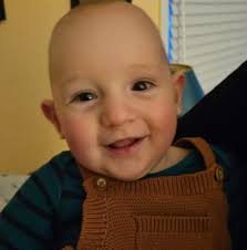 Ivy: It's invasive! It can live for hundreds of years! Rats love it! Murder  it dead! (KUOW Public Radio)