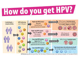 Gardasil 9 (human papillomavirus (hpv)) vaccine is used in both females and males. Get The Correct Facts About Hpv