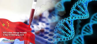 The dna bank holds samples obtained from plants, fungi, algae and protists collected in the wild, or of documented origin, associated with full relevant documentation. Dna Bank Home Facebook