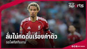 pptvhd36.com - News update