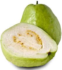 Image result for Psidium guajava
