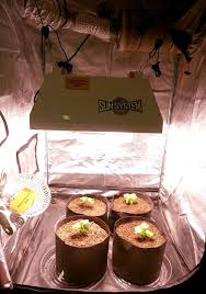 Lefreshinsoft 1000 watt led grow light for indoor plants full spectrum with uv plant lights grow lamp dual switch for indoor plants veg and flower 1000w (10w leds 100pcs). An Introduction To Lec Light Systems