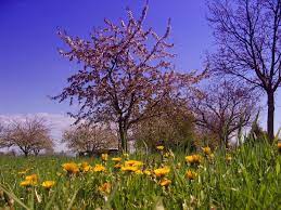Il fait beau c'est le printemps. Les Saisons Dates De L Hiver Du Printemps De L Ete Et De L Automne Icalendrier