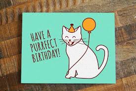 This punny kitty cat is here to say happy birthday! Amazon Com Funny Cute Cat Lover Birthday Card Have A Purrfect Birthday Handmade