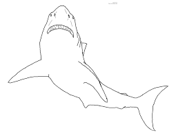 Https Www Google Com Search Q Butterfly Coloring Pages Shark Coloring Pages Love Coloring Pages Butterfly Coloring Page