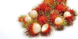 Gambar buah durian dan rambutan kekinian download now manfaat mengko. 9 Manfaat Buah Rambutan Bagi Tubuh Jaga Kesehatan Kulit Hingga Jantung Merdeka Com