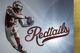 Red tails (also redtails) is one of the many hypothetical team names trademarked ahead of time by an alexandria, virginia man. Washington Redtails Concepts San Antonio Website Design Company Seo Service Online Marketing San Antonio Website Design Company Seo Service Online Marketing