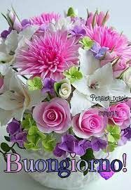 Pin Di Grazia Noto Su Buongiorno Senza Citazioni Immagini Di Fiori Buongiorno Immagini Auguri Di Buona Notte
