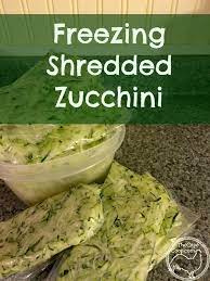 We did not find results for: Freezing Shredded Zucchini The Cape Coop