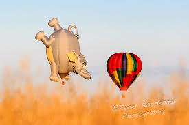 Its heat shield is designed to withstand temperatures of more than 1 by the time the rover reaches its landing place, its speed should have slowed to about 1.5 mph. Friendly Elephant Hot Air Balloon Print Baby Shower Nursery Etsy Printed Balloons Air Balloon Nursery Gift