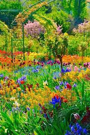 Le Jardin De Claude Monet Senderos De Jardin Jardines Secretos Jardines