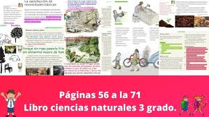 Ciencias naturales libro de primaria grado 5 comision nacional. Paginas 56 A La 71 Libro De Ciencias Naturales 3 Grado Youtube