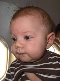 Livet med Edgar och Ofelia: 2007