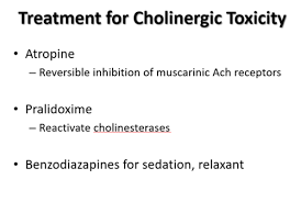 Image result for Cholinergic Toxicity