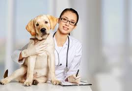 Maybe you would like to learn more about one of these? Why Should I Bring My Pet In For A Fecal Exam Des Moines Veterinary Hospital Des Moines