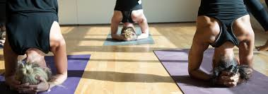 Aiming to educate and inform whilst drawing upon the latest medical. Welcome To Sangye Yoga School Yoga Studios London Sangye Yoga Sangye Yoga