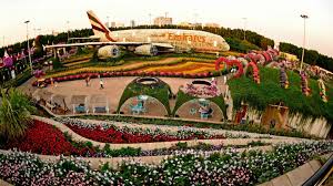 1, the time is now to register. Dubai Miracle Garden Dieser Hippie Airbus A380 Landet Im Guinness Buch Stern De