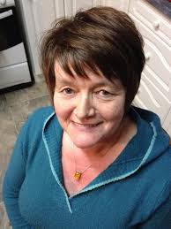 The Shetland Pony Experience