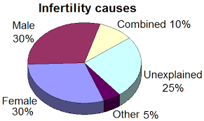 Pie Chart Best Fertility Centre In Chennai Prashanth