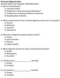 This quiz demonstrates the relationship between body parts. Ruminant Monogastric Digestive System Quiz Key By Country Mile Teaching