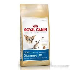 Royal Canin Feline Breed Siamese 38 Yetiskin Siyam Kedisi Fiyati