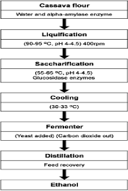 flow chart showing the production of ethanol from cassava