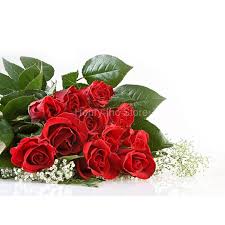 Use them in commercial designs under lifetime, perpetual & worldwide rights. 200 Seeds China Rare Red Rose Flower To Your Lover Beautiful Garden Mg1 200 Flower Flower Flower Roseflower Red Aliexpress