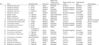 Image result for Eriocoelum