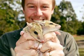 Australian Reptile Park