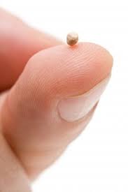 One of the most widely known parables is that of the mustard seed. Mustard Seed Faith Meaning And Life Lessons