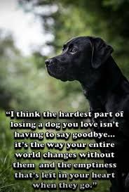 Oh So True But It Does Hurt To Say Goodbye Too Dog Quotes Dogs Losing A Dog