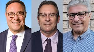 Riding profile: Flamborough-Glanbrook candidates tell you why they're  qualified