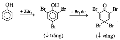 Giải thích và viết phương trình phenol tác dụng với nước Br2 ...