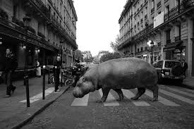 Animals And Humans Share The City Streets In This Surreal Photo Series Surreal Photos Animals Wild Wild Animals Photography