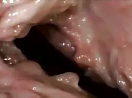 While some of these things may have small bits of truth in them, it is neither recommended nor condoned for you to go out and attempt any of the acts. Featured Girl And Boys Porn Videos Xhamster